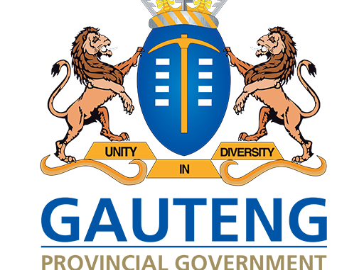 Assistant Director Accounts Payable working on financial systems in Department of Health Johannesburg office