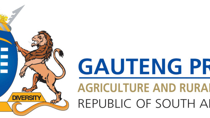 Administrative Clerk working in ICT office at Department of Health Johannesburg South Africa